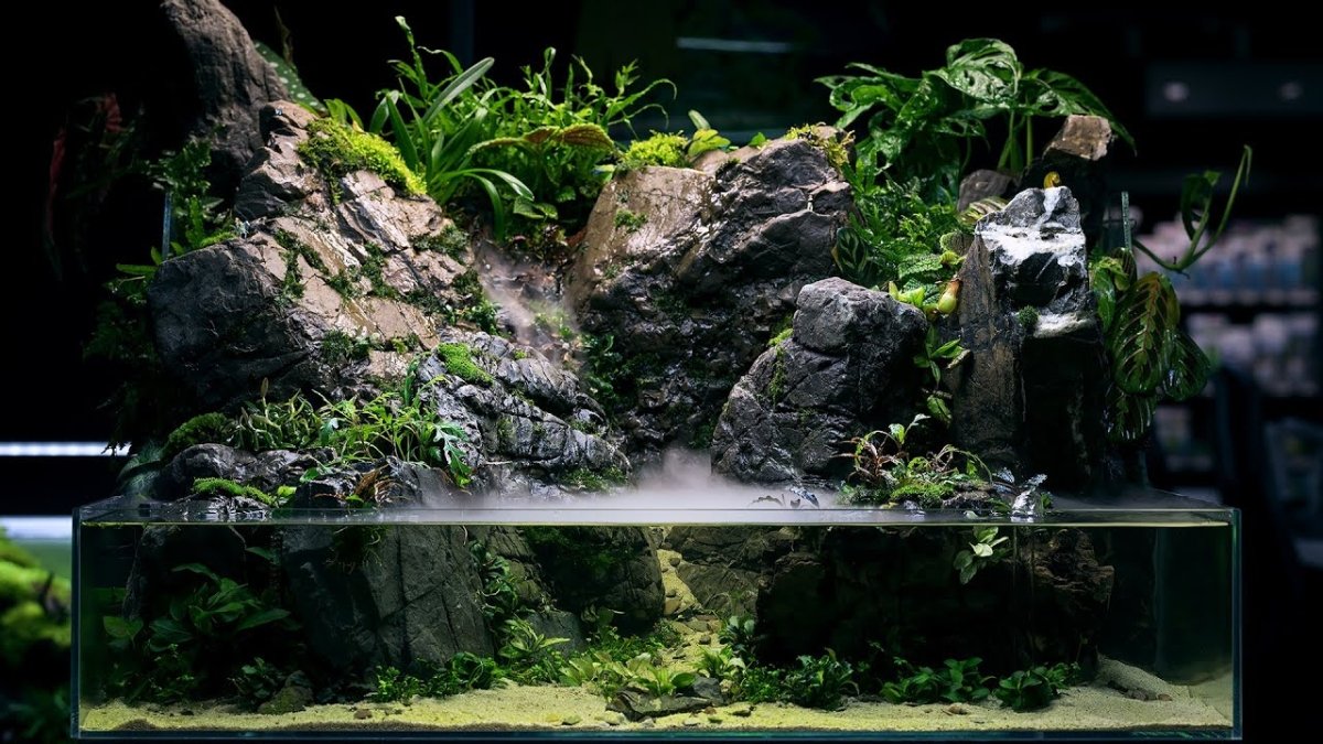 Qu’est-ce qu’un paludarium ? L’harmonie entre terre et eau - TerraLife