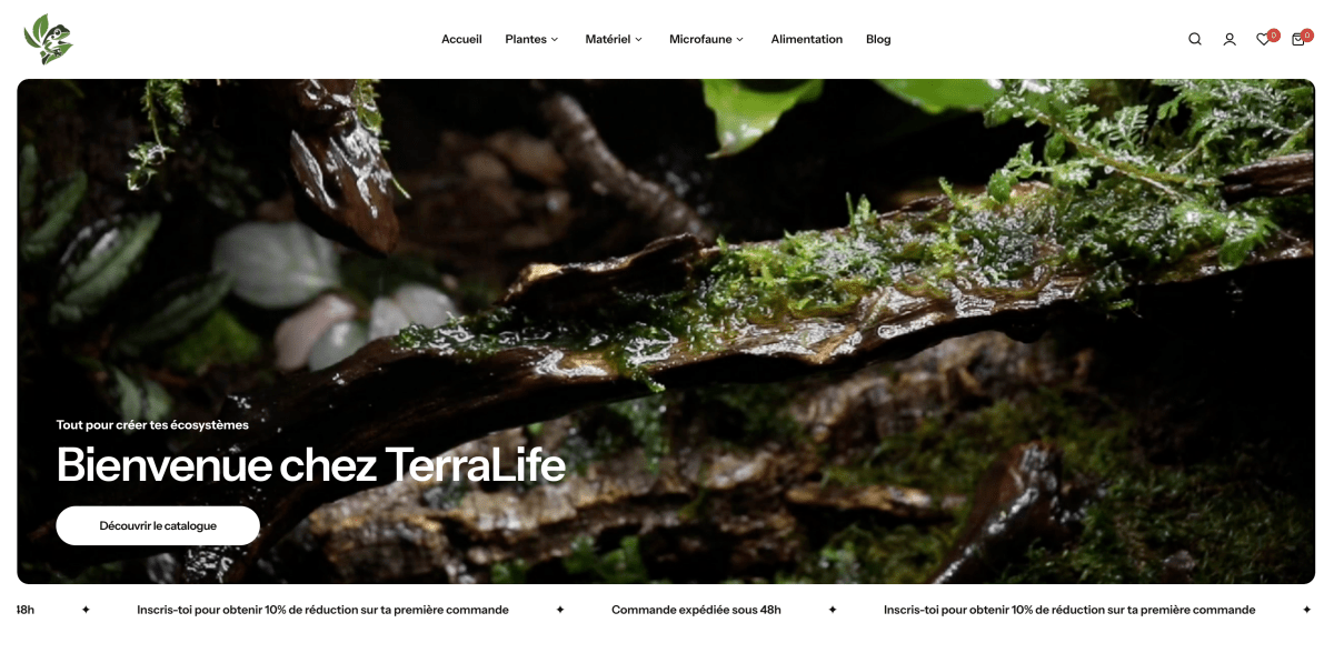 TerraLife : La boutique spécialisée pour créer des écosystèmes tropicaux chez toi ! 🌿🐸 - TerraLife
