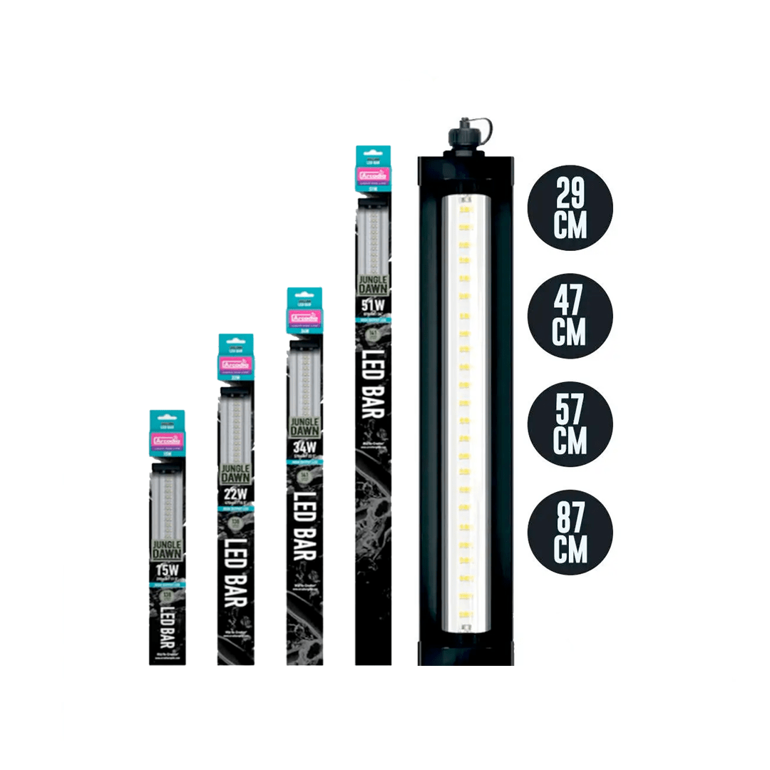 Barre Arcadia LED Jungle Dawn - TerraLife