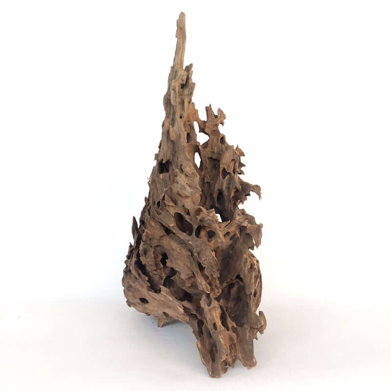 Bois en nid d'abeille - TerraLife