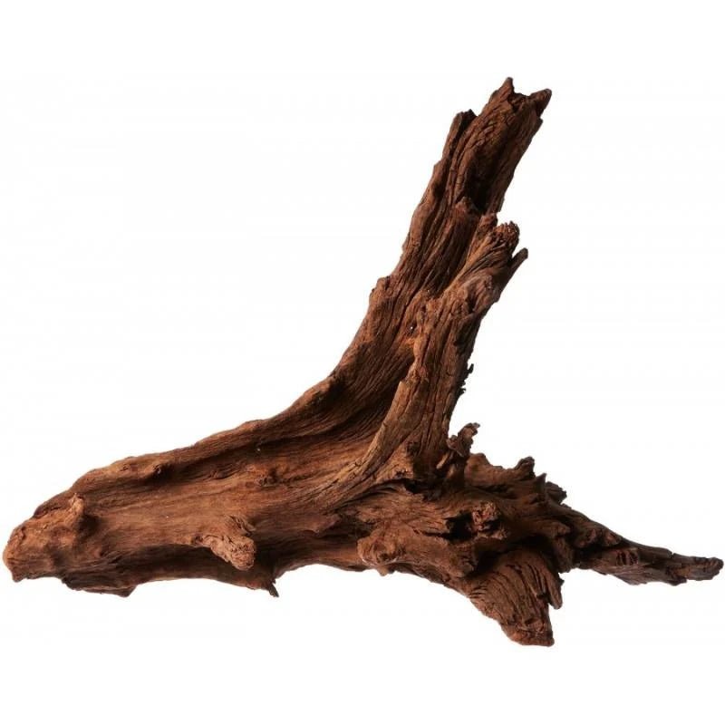 Bois Malaisie Driftwood - TerraLife