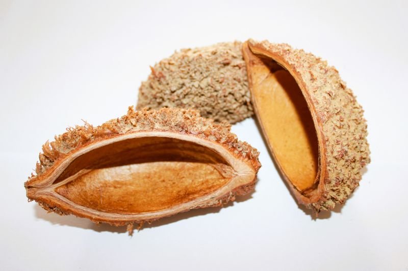 Bolsa Pastor Pod - TerraLife