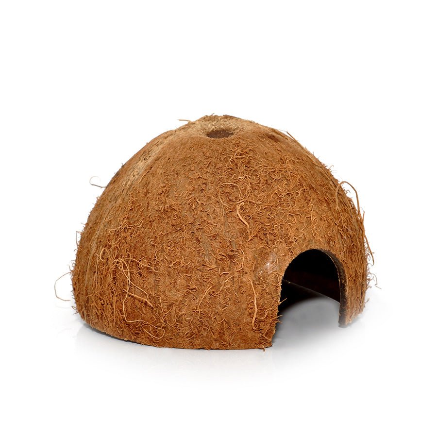 Cachette en noix de coco - TerraLife
