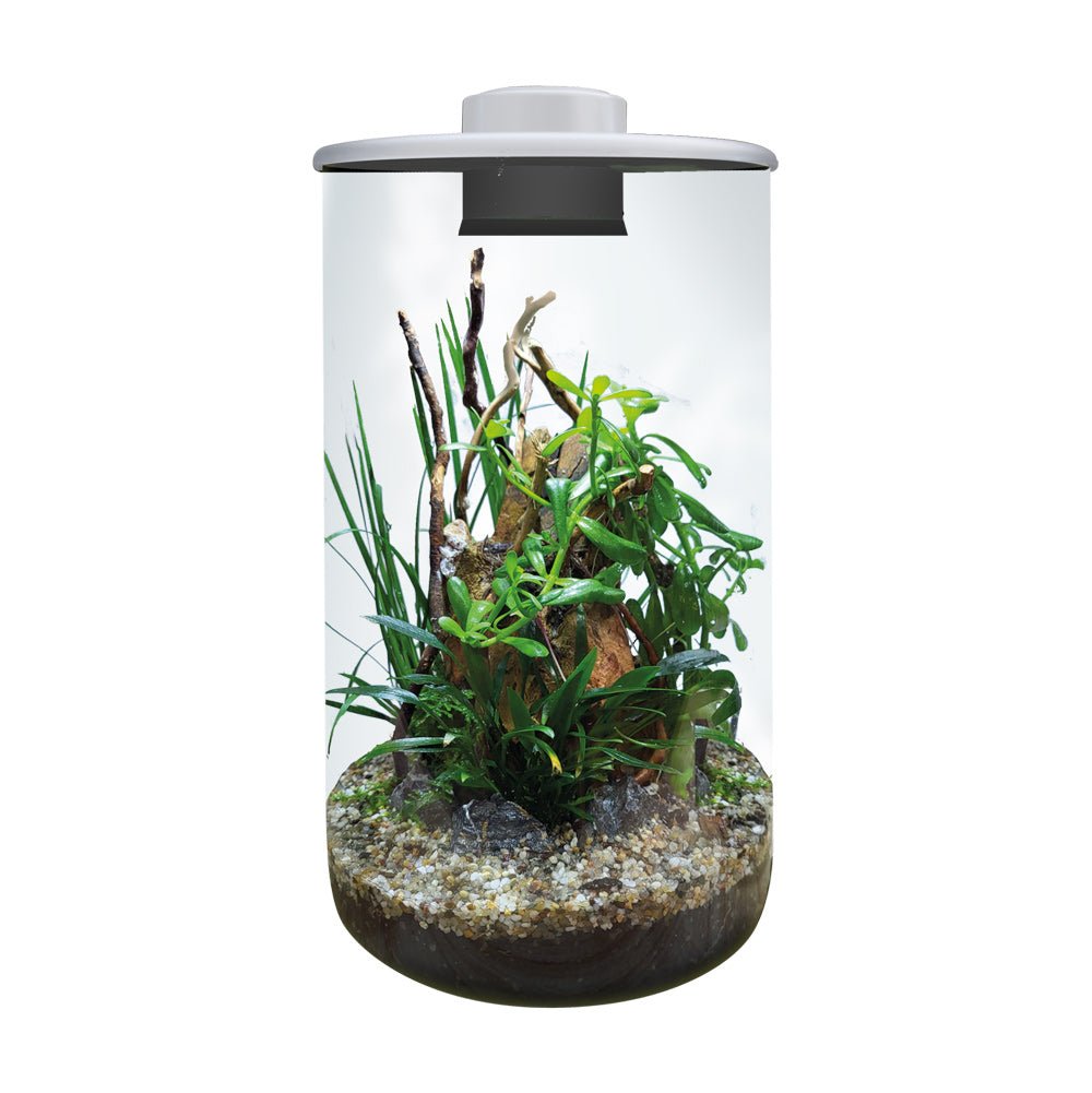 Cylindre BioArt 285 - TerraLife