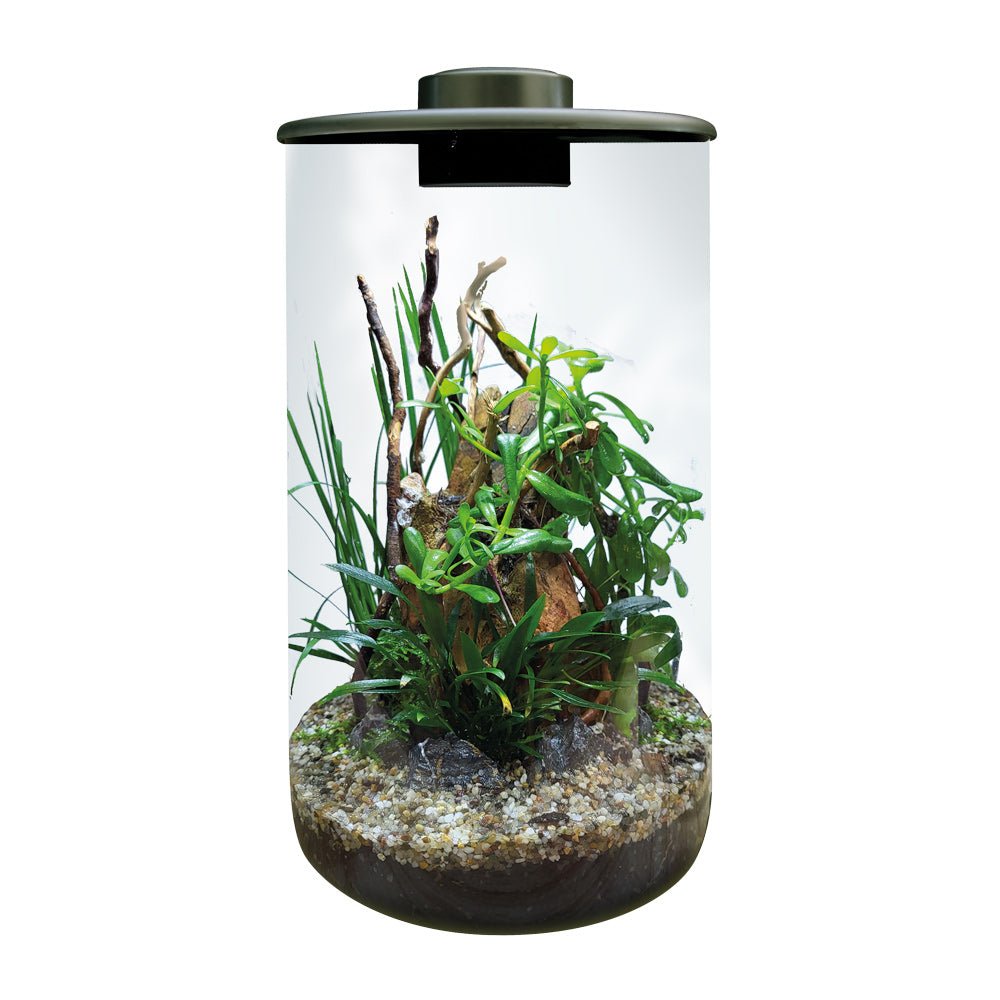 Cylindre BioArt 285 - TerraLife