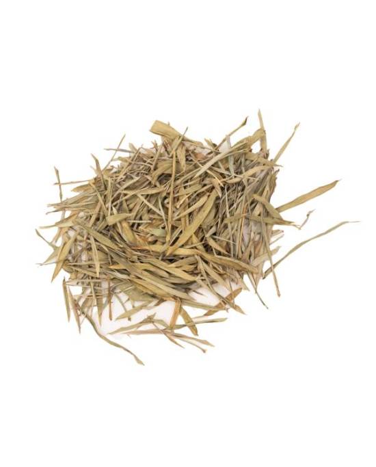 Feuilles de Bamboo - TerraLife