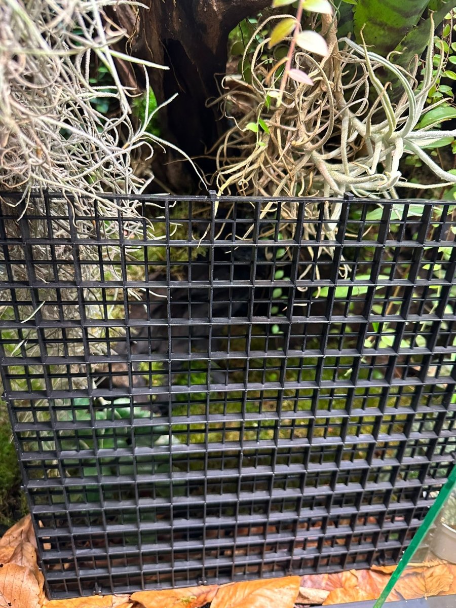 Grilles de support - TerraLife