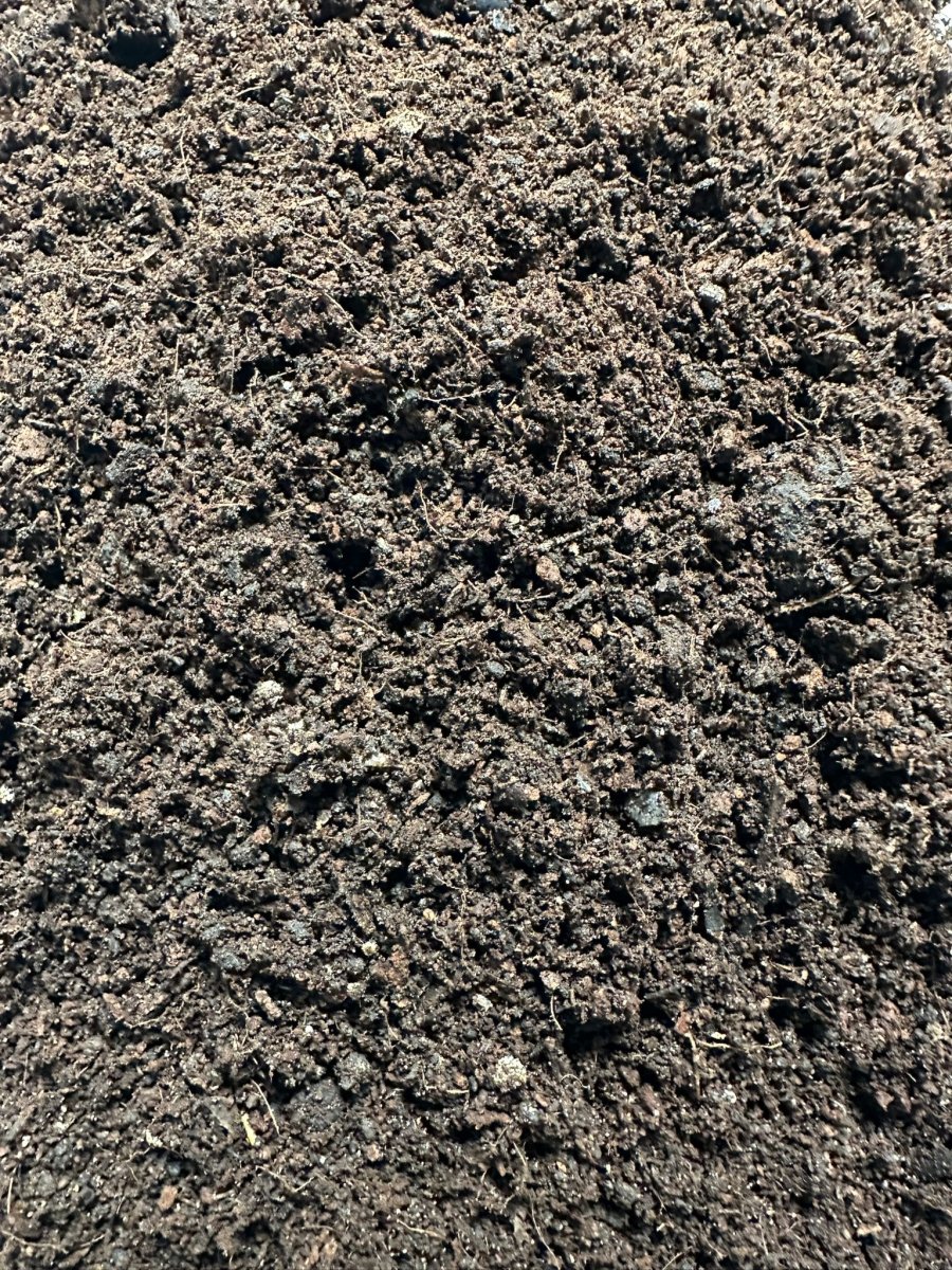 Mélange Carnivore - TerraLife