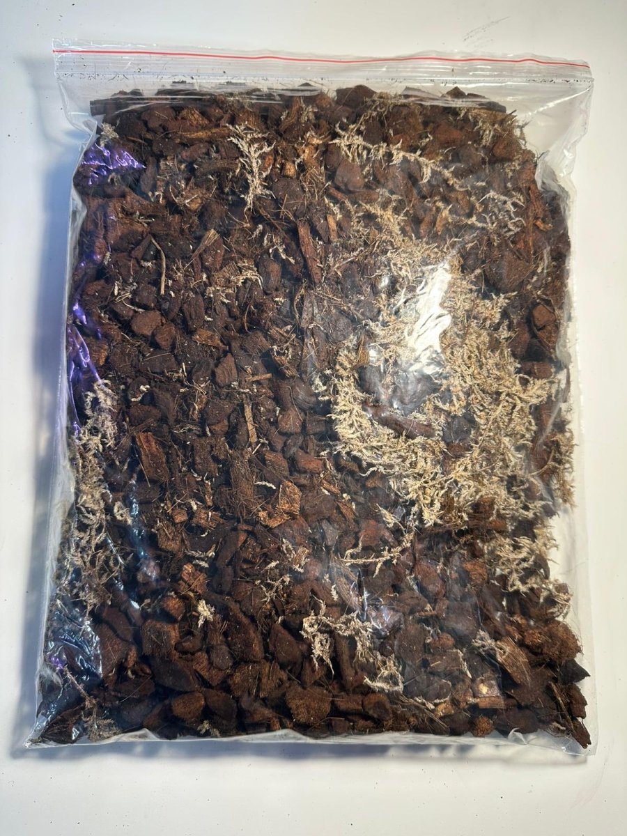 Mélange Orchidées - TerraLife