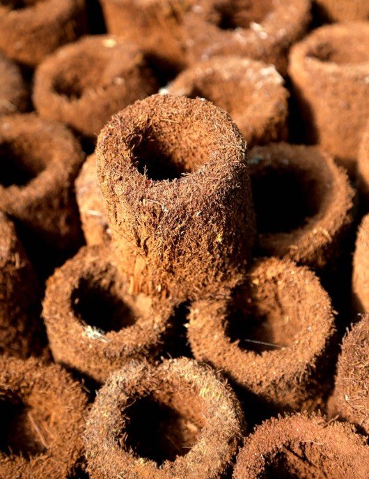 Pot Xaxim - TerraLife