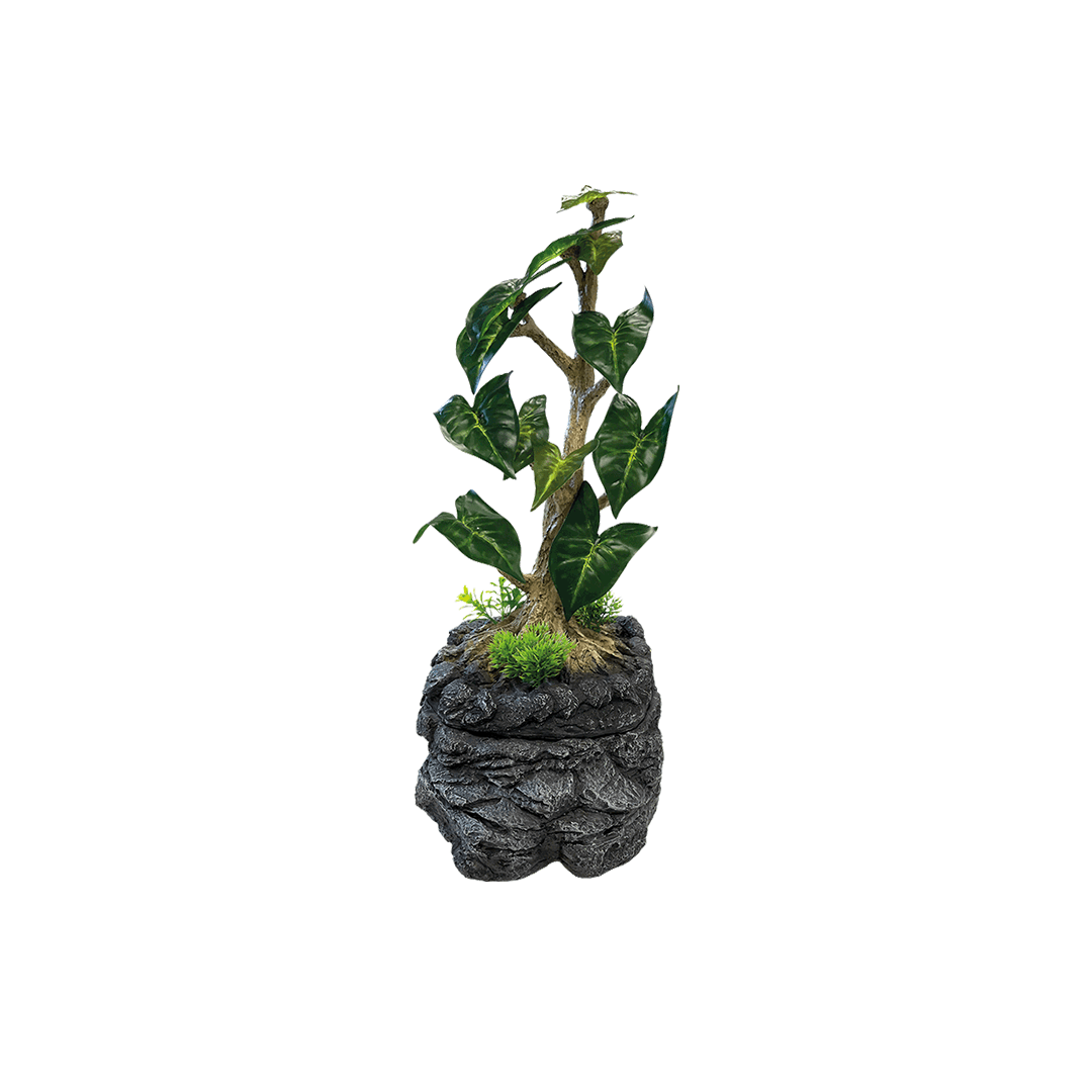 Repto Water Dripping Tree - TerraLife