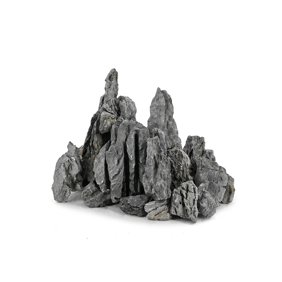 Seiryu Rock - TerraLife