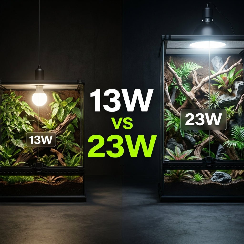 Arcadia D3 13W vs 23W : laquelle choisir selon la taille de ton terrarium ? - TerraLife