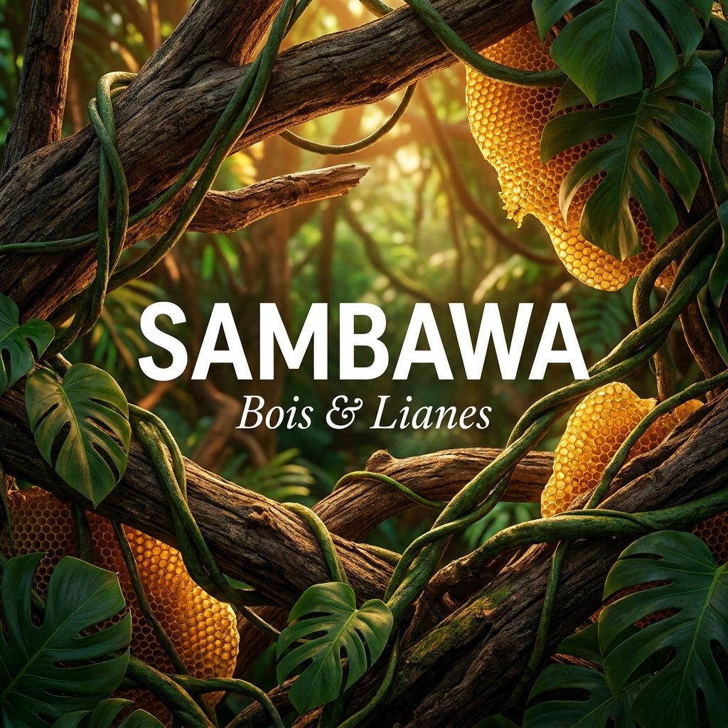 Bois et lianes naturelles : Sambawa, Jungle, Nid d'abeille — usage et préparation - TerraLife
