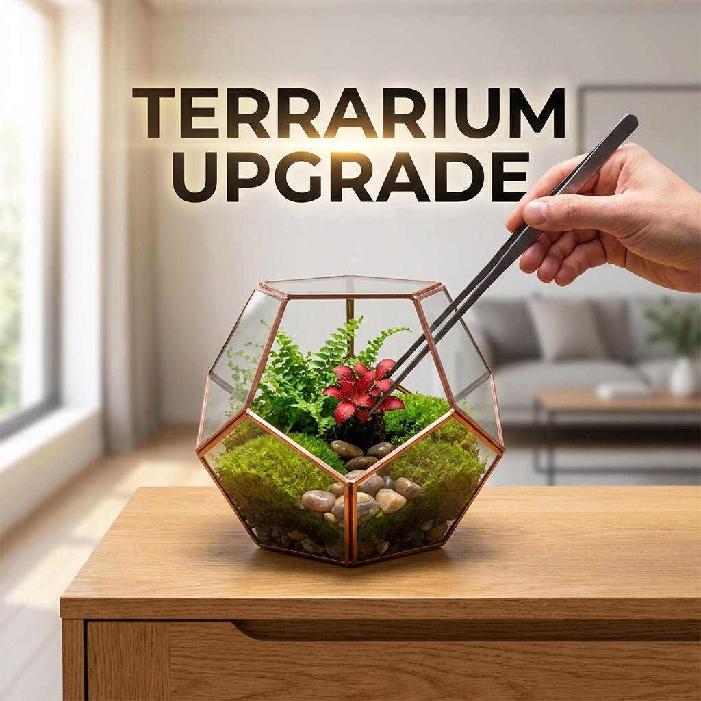 Comment améliorer un terrarium déjà existant sans tout refaire - TerraLife