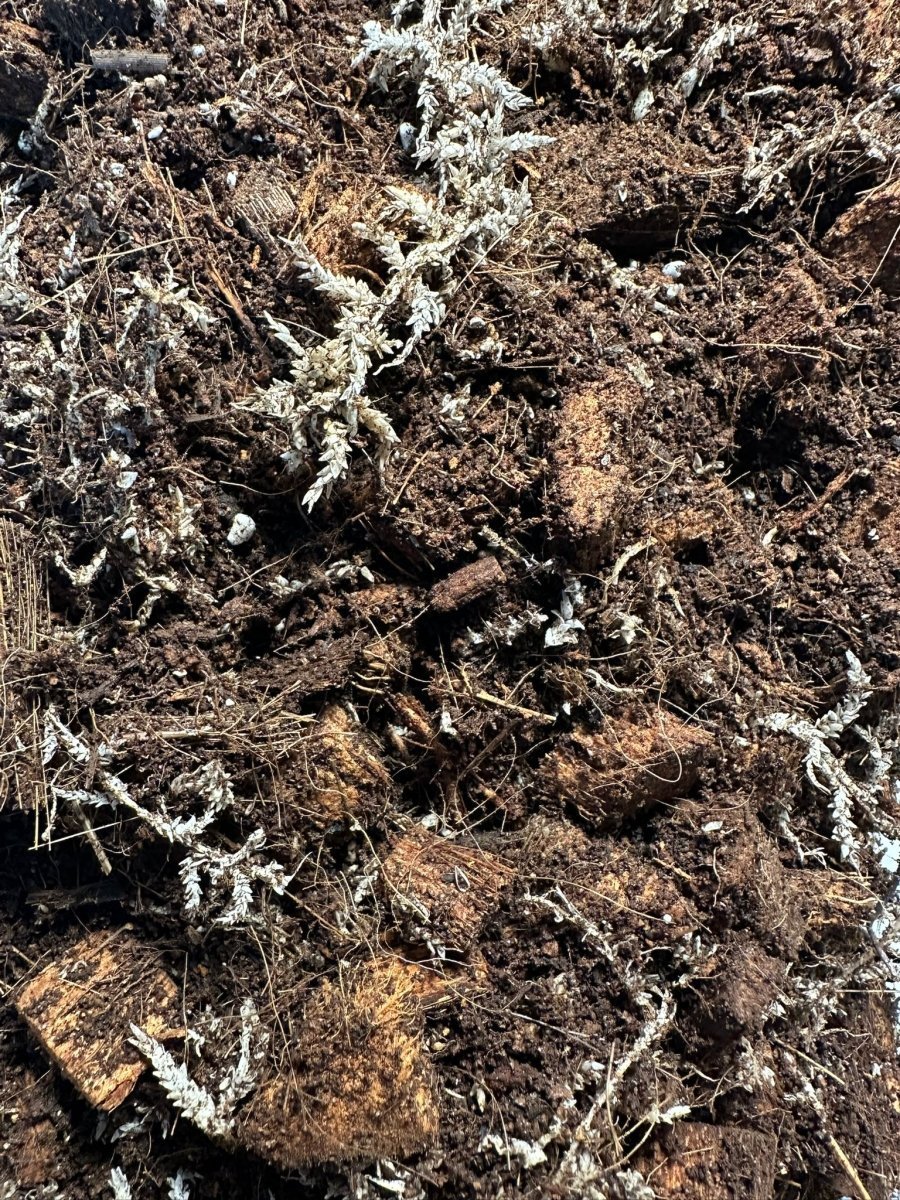 Comment bien choisir ses substrats pour un terrarium tropical ? - TerraLife