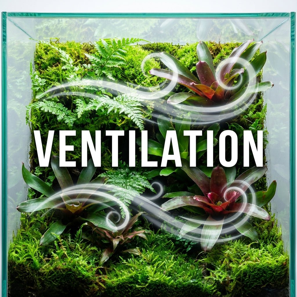 Comment gérer la ventilation dans un terrarium tropical ? - TerraLife