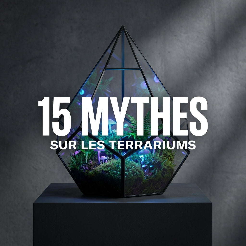     Les 15 plus grands mythes sur les terrariums