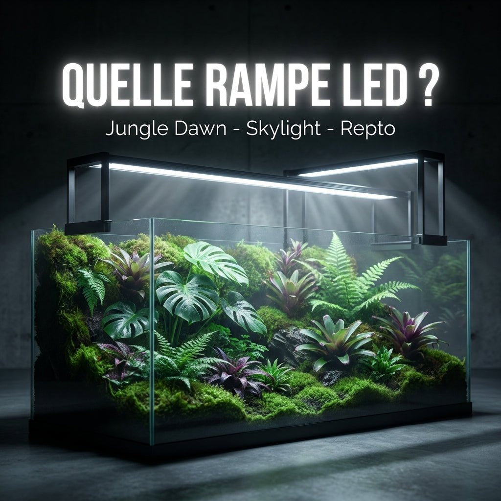 Jungle Dawn, Skylight, Repto LED : quelle rampe pour faire pousser tes plantes ? - TerraLife