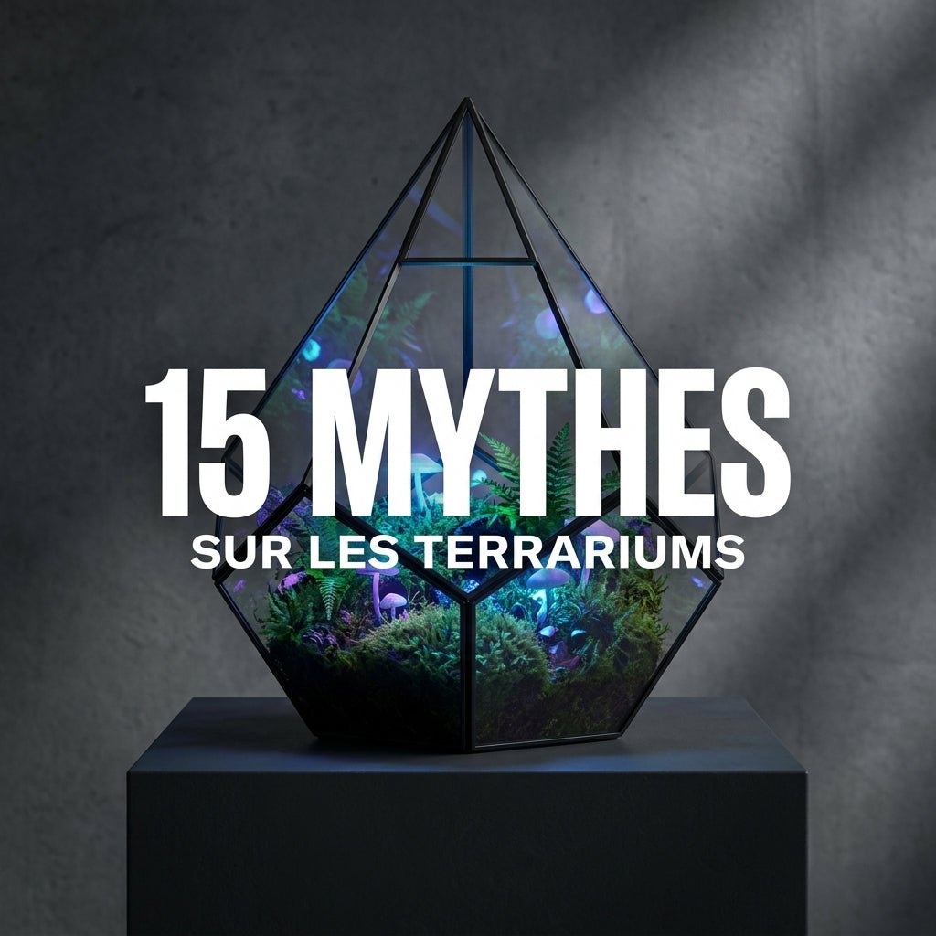 Les 15 plus grands mythes sur les terrariums - TerraLife