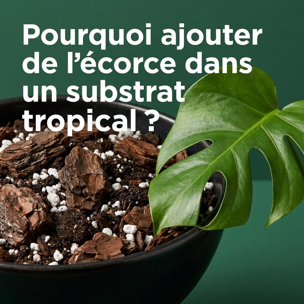 Pourquoi ajouter de l’écorce dans un substrat tropical ? - TerraLife