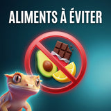 Quels aliments faut-il éviter chez le gecko à crête ? - TerraLife