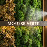 Comment éviter que la mousse sèche sur les décors verticaux ?