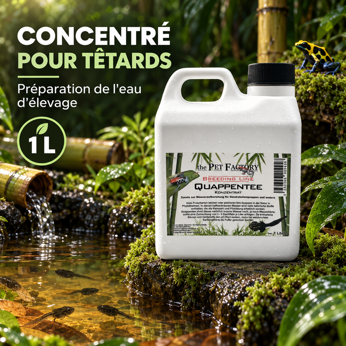 Quappentee – Concentré Eau de Têtards Dendrobates | The Pet Factory
