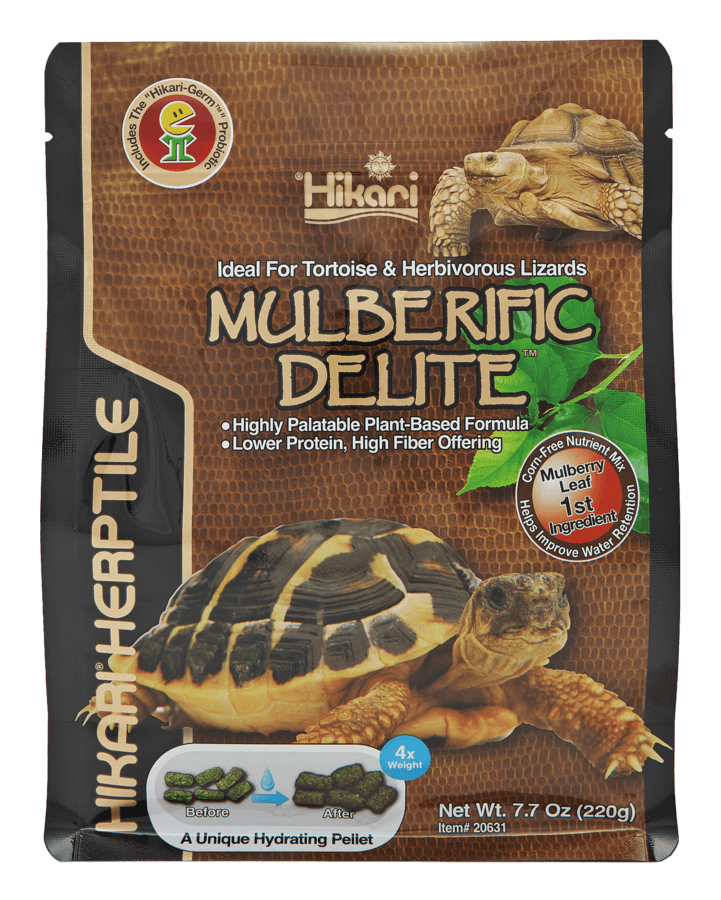 Hikari Turtle Mulberific