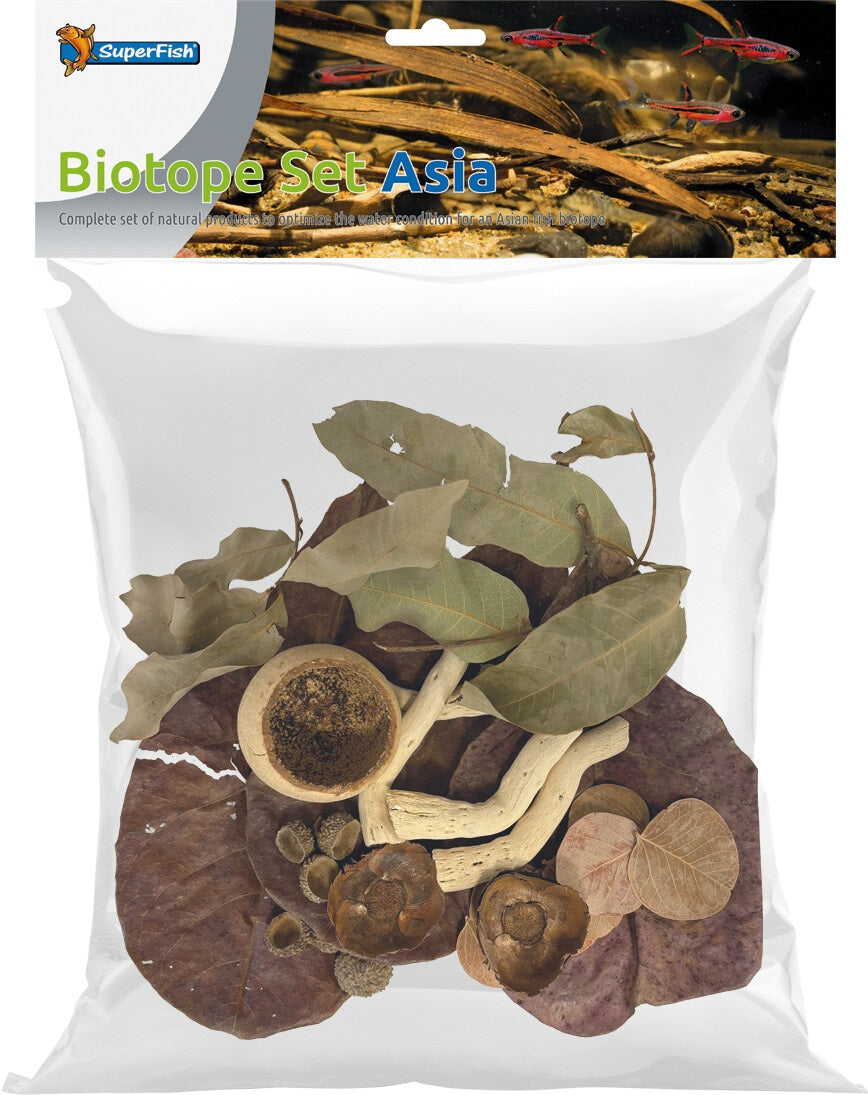 Kit Biotope Asiatique  - Botanicals Naturels Terrarium & Paludarium