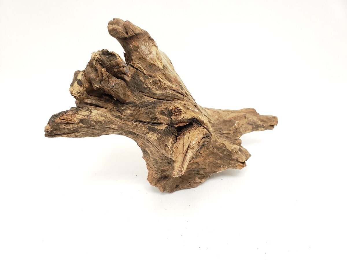 Bois Malaisie Driftwood - TerraLife