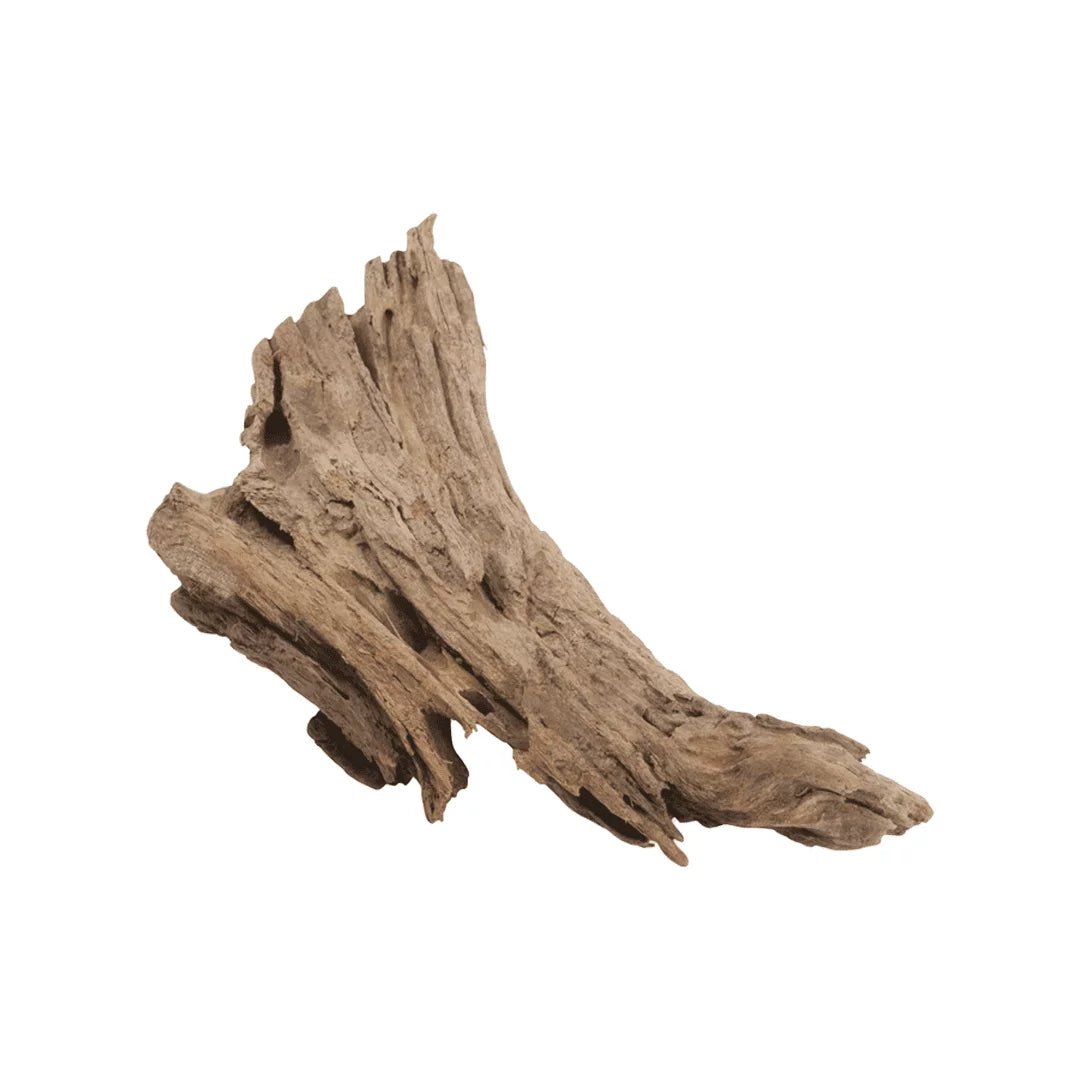 Bois Malaisie Driftwood - TerraLife