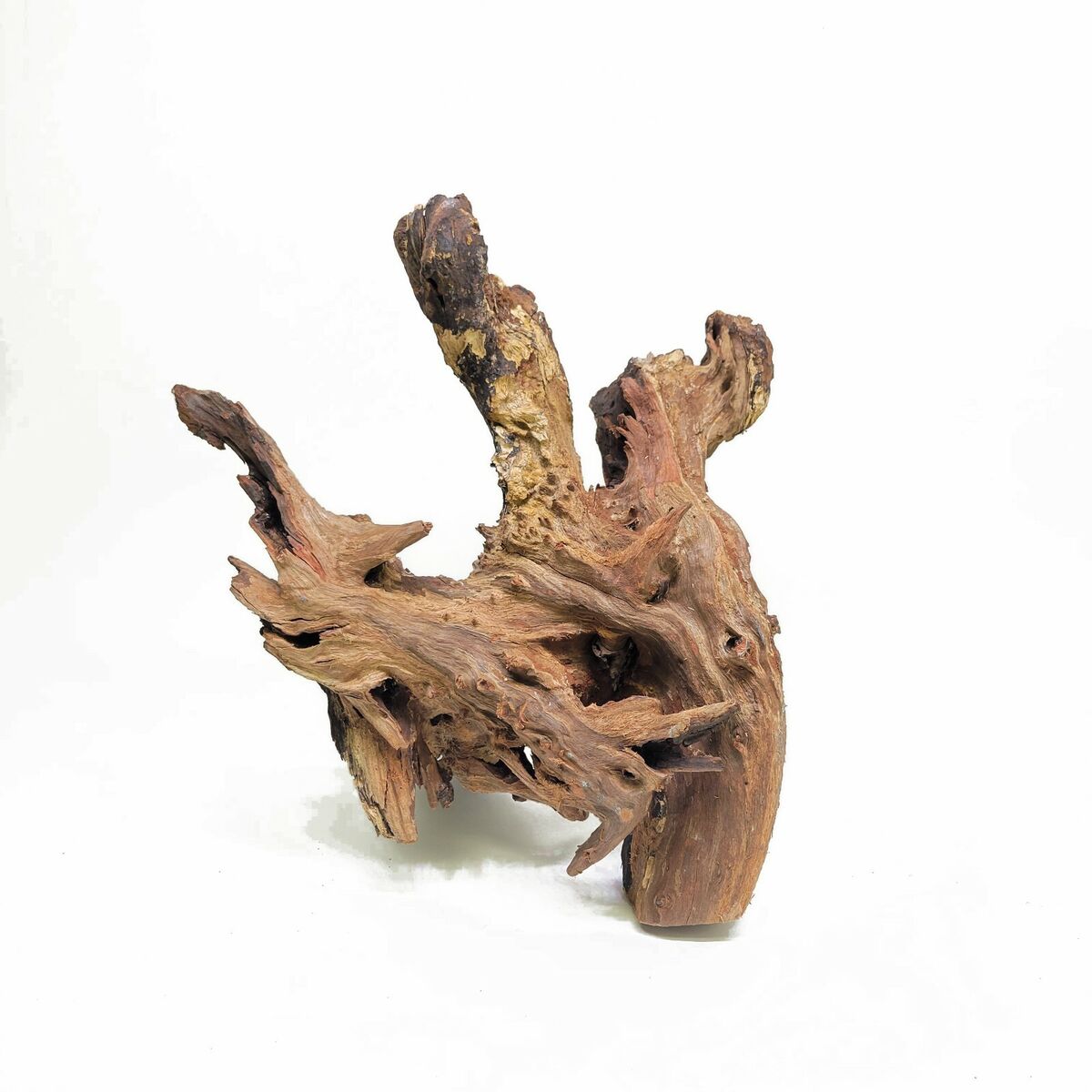 Bois Malaisie Driftwood - TerraLife