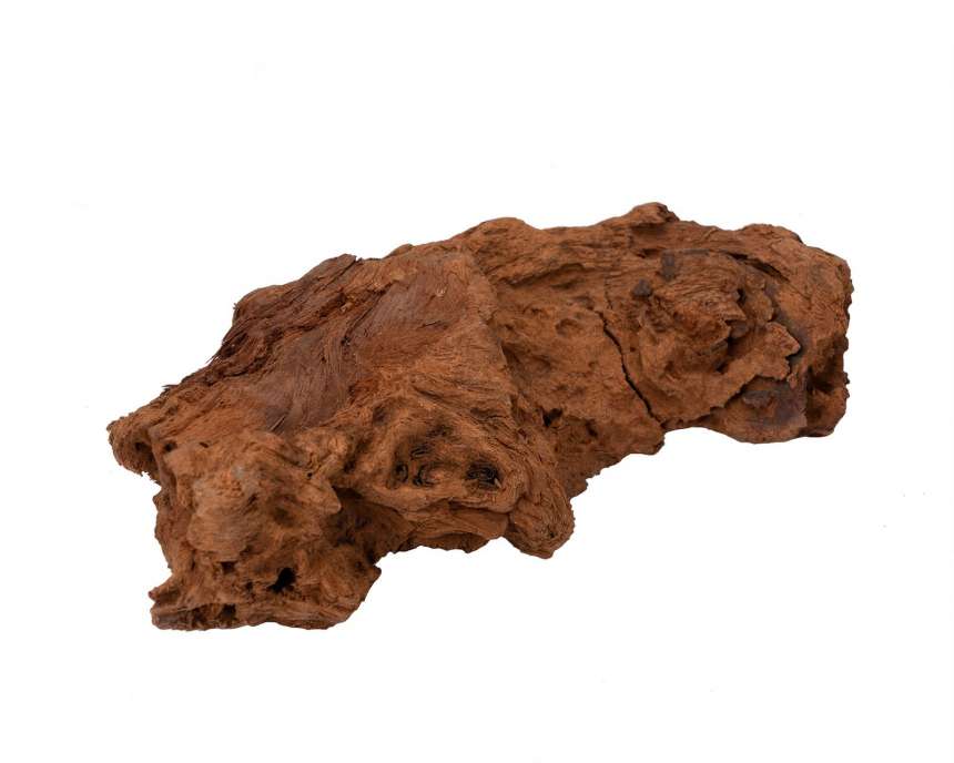 Bois Malaisie Driftwood - TerraLife
