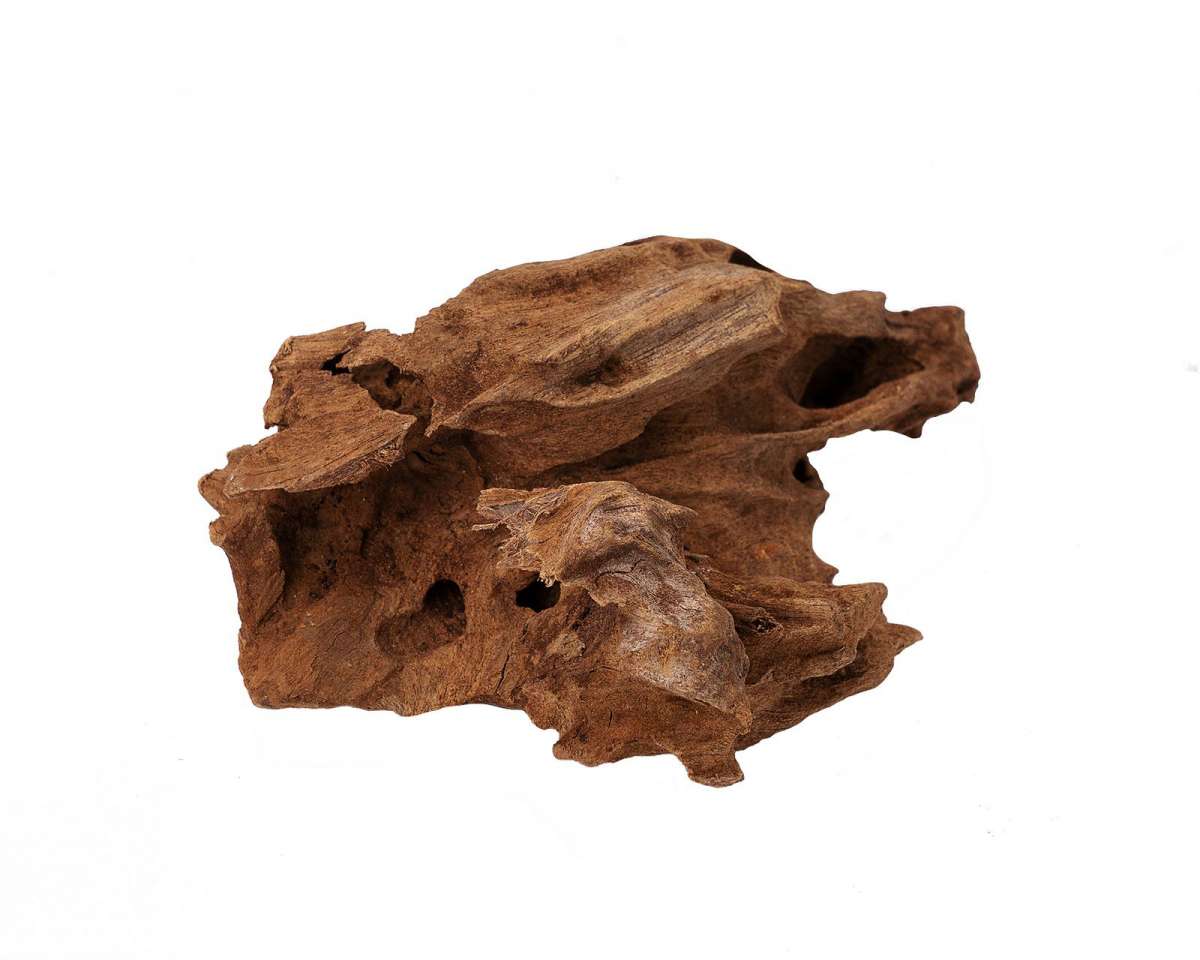 Bois Malaisie Driftwood - TerraLife
