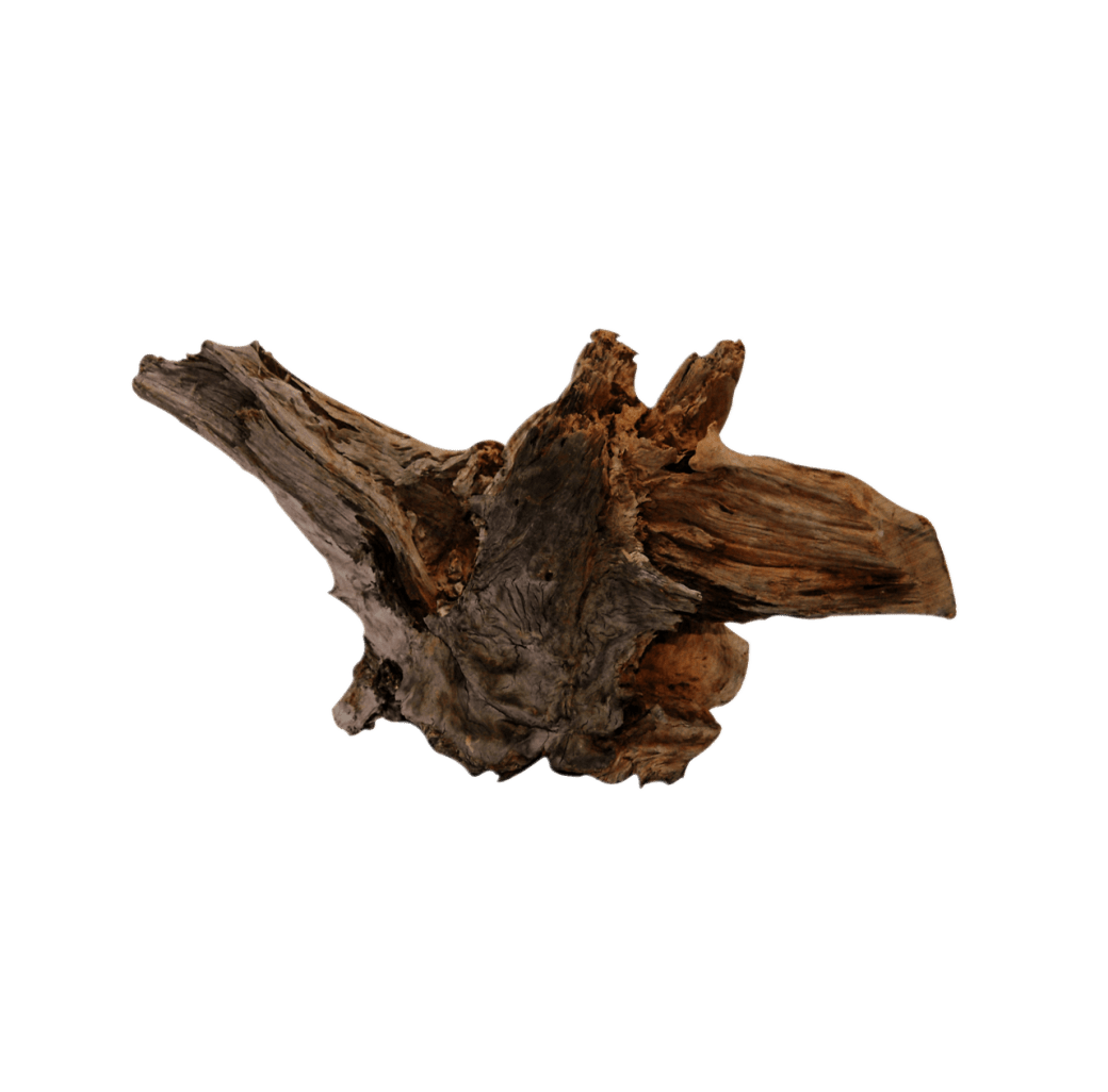 Bois Malaisie Driftwood - TerraLife