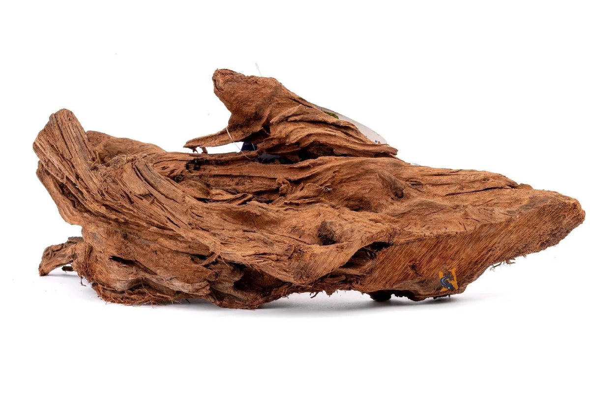 Bois Malaisie Driftwood - TerraLife