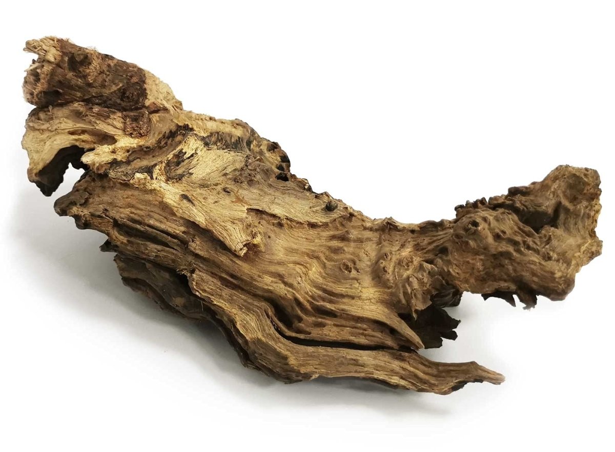 Bois Malaisie Driftwood - TerraLife