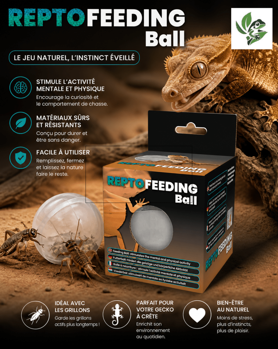 Boule de Nourrissage Repto Feeding Ball – Enrichissement Comportemental Reptiles & Invertébrés - TerraLife