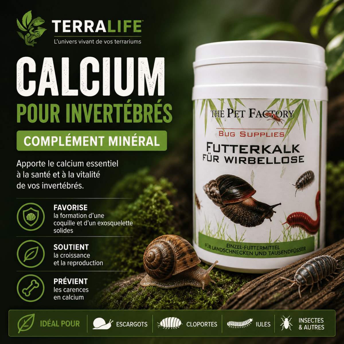 Calcium pour Invertébrés – Complément Minéral - TerraLife