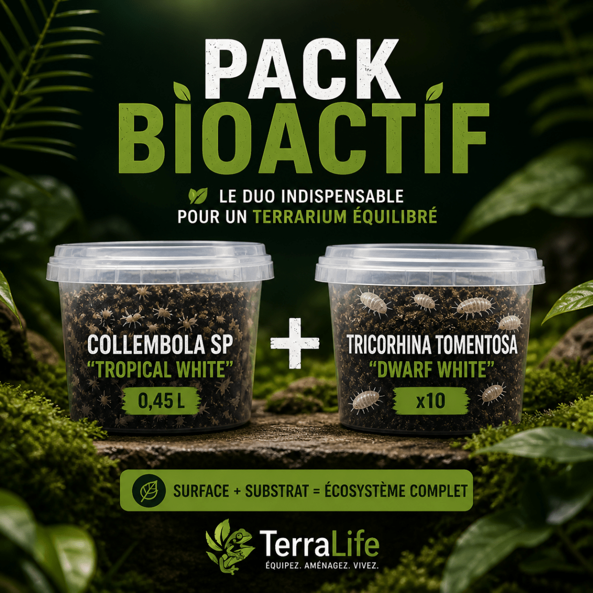 Duo Bioactif — Pack Microfaune Essentielle pour Terrarium - TerraLife