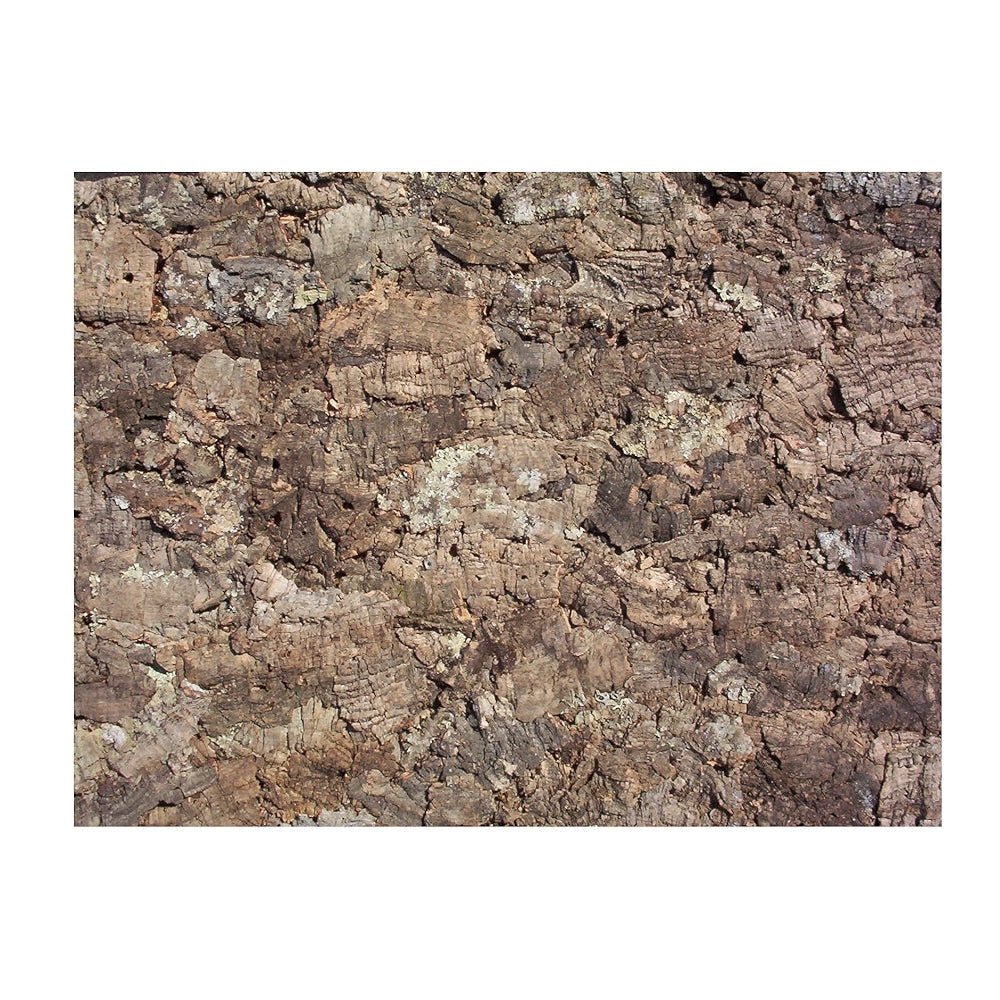 Hobby – Paroi arrière en liège Laos 60×30×1,5 cm (Fond naturel pour terrarium) - TerraLife