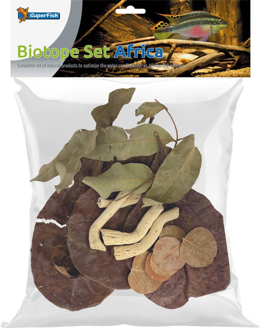 Kit Biotope Africain - Botanicals Naturels Terrarium & Paludarium - TerraLife