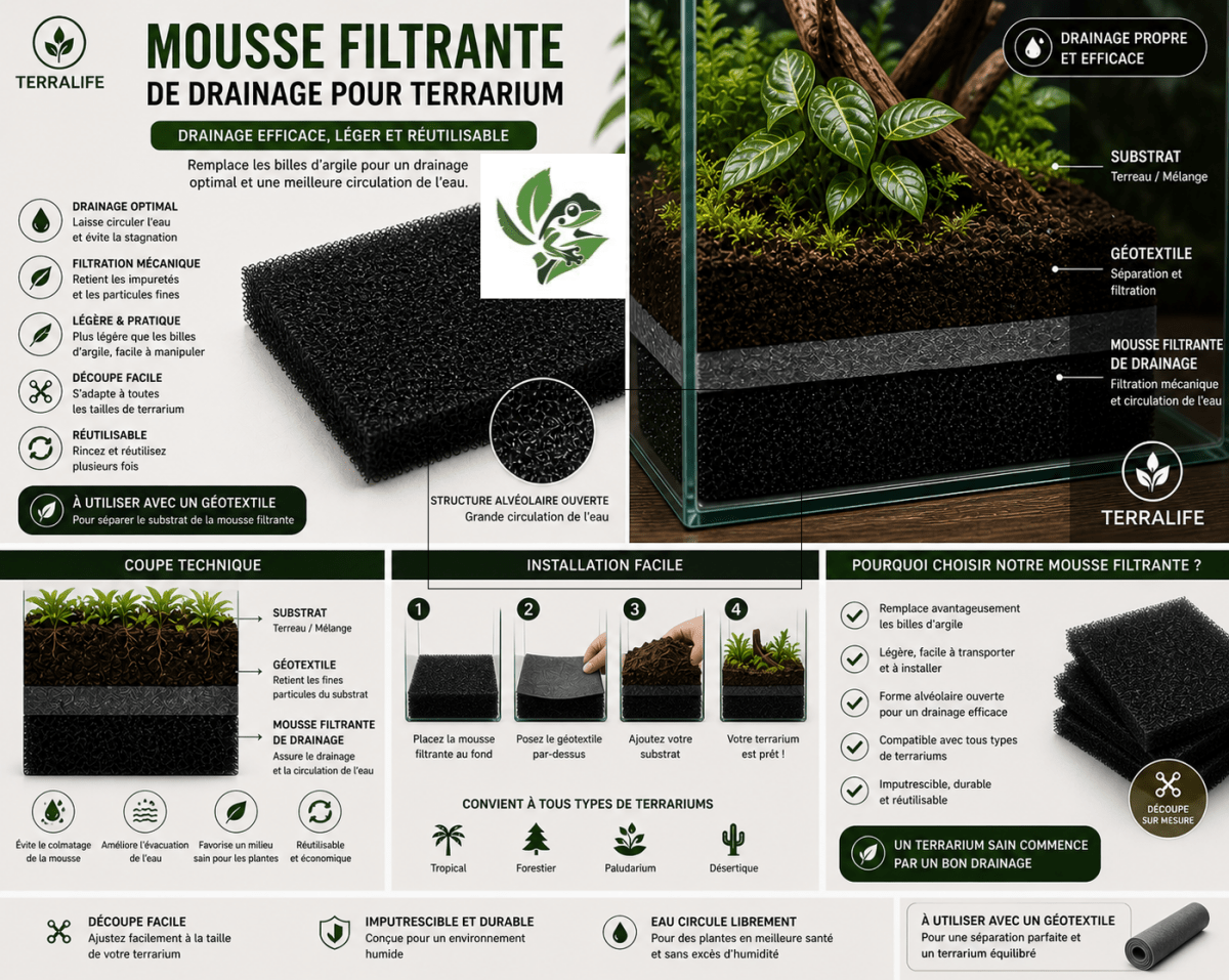Mousse de Drainage Terrarium – Couche de Base Bioactive - TerraLife