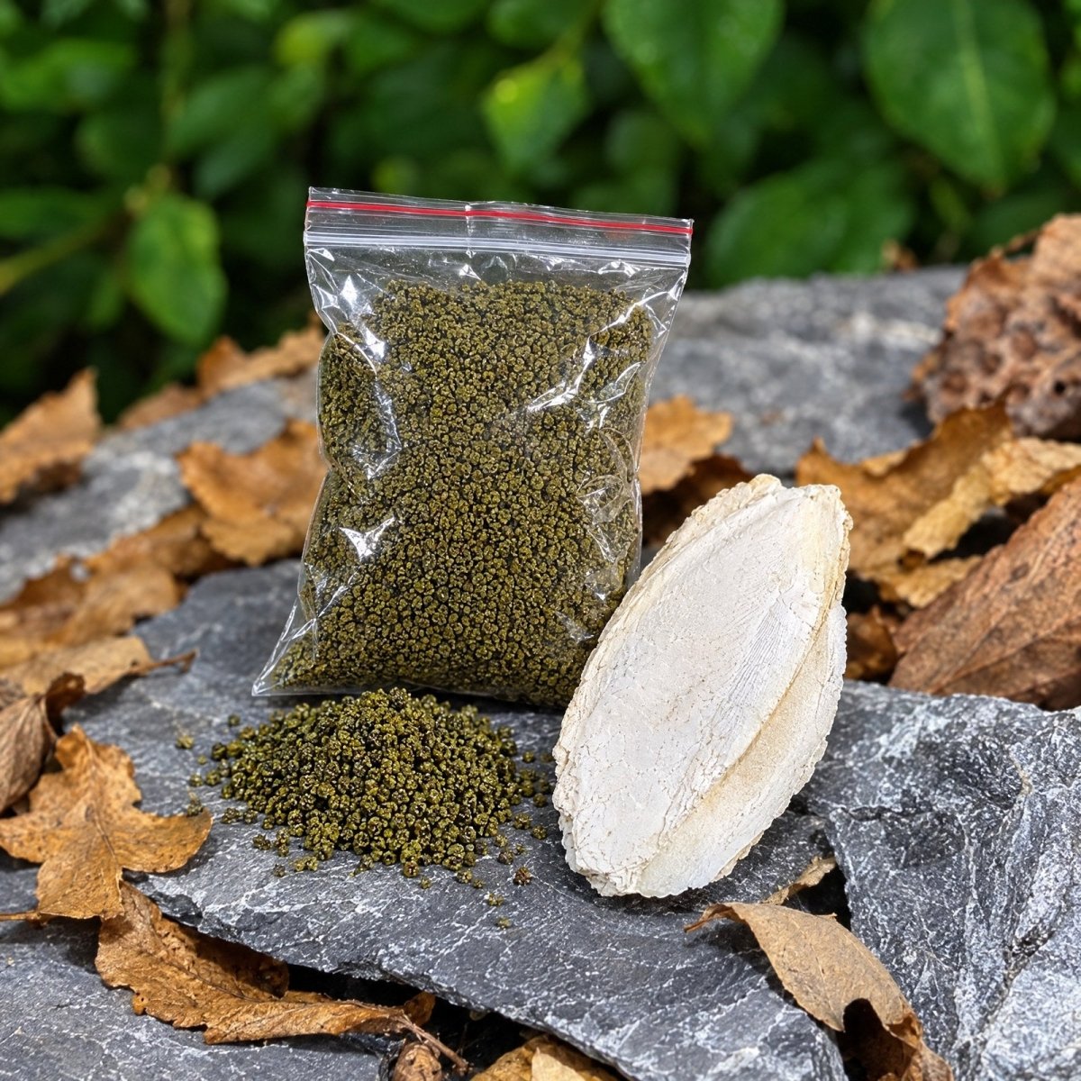 Pack Nourrissage Microfaune – Spiruline + Os de Seiche - TerraLife