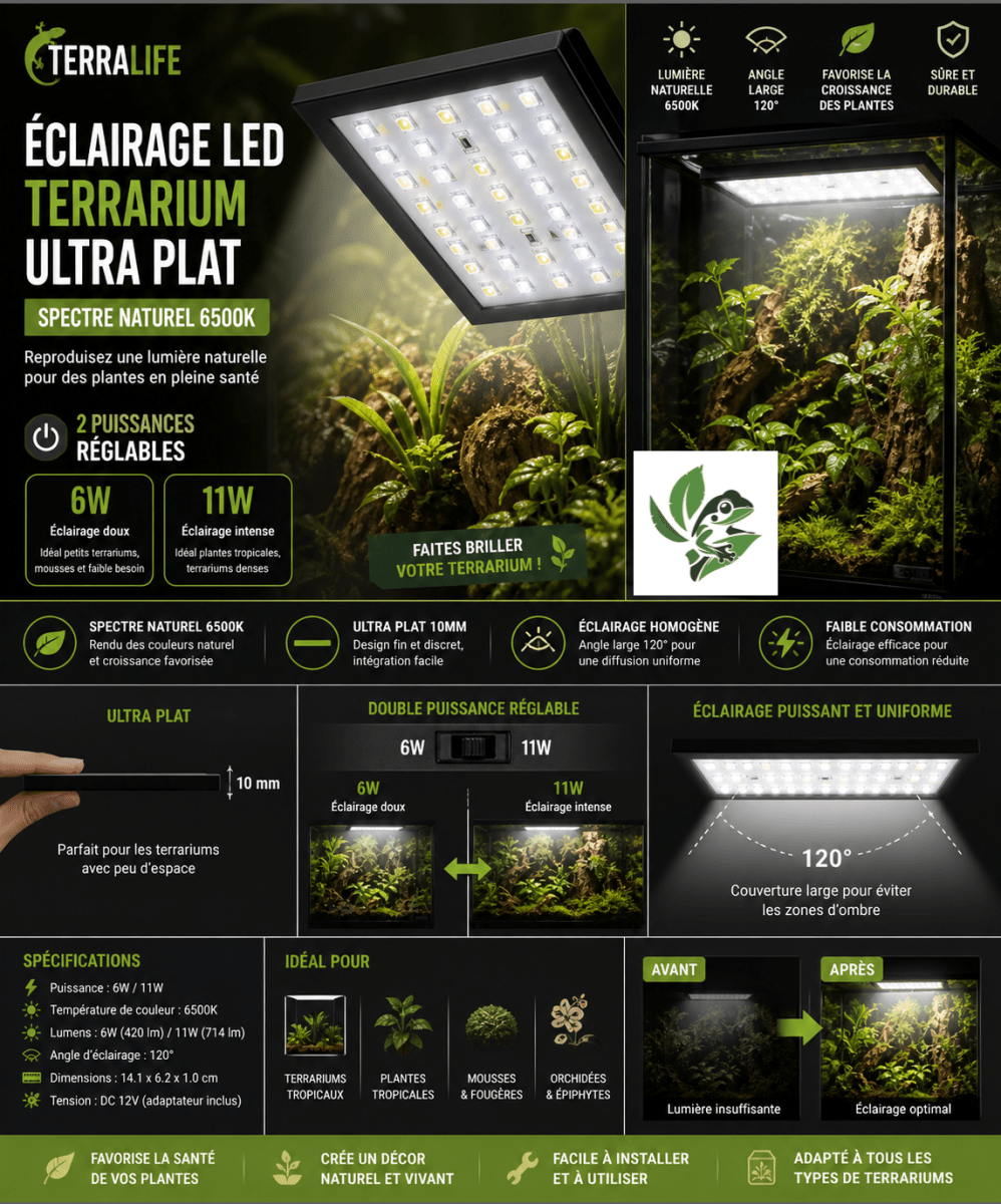 Panneau LED Plat 11W pour Terrarium Tropical — Éclairage Lumière du Jour - TerraLife