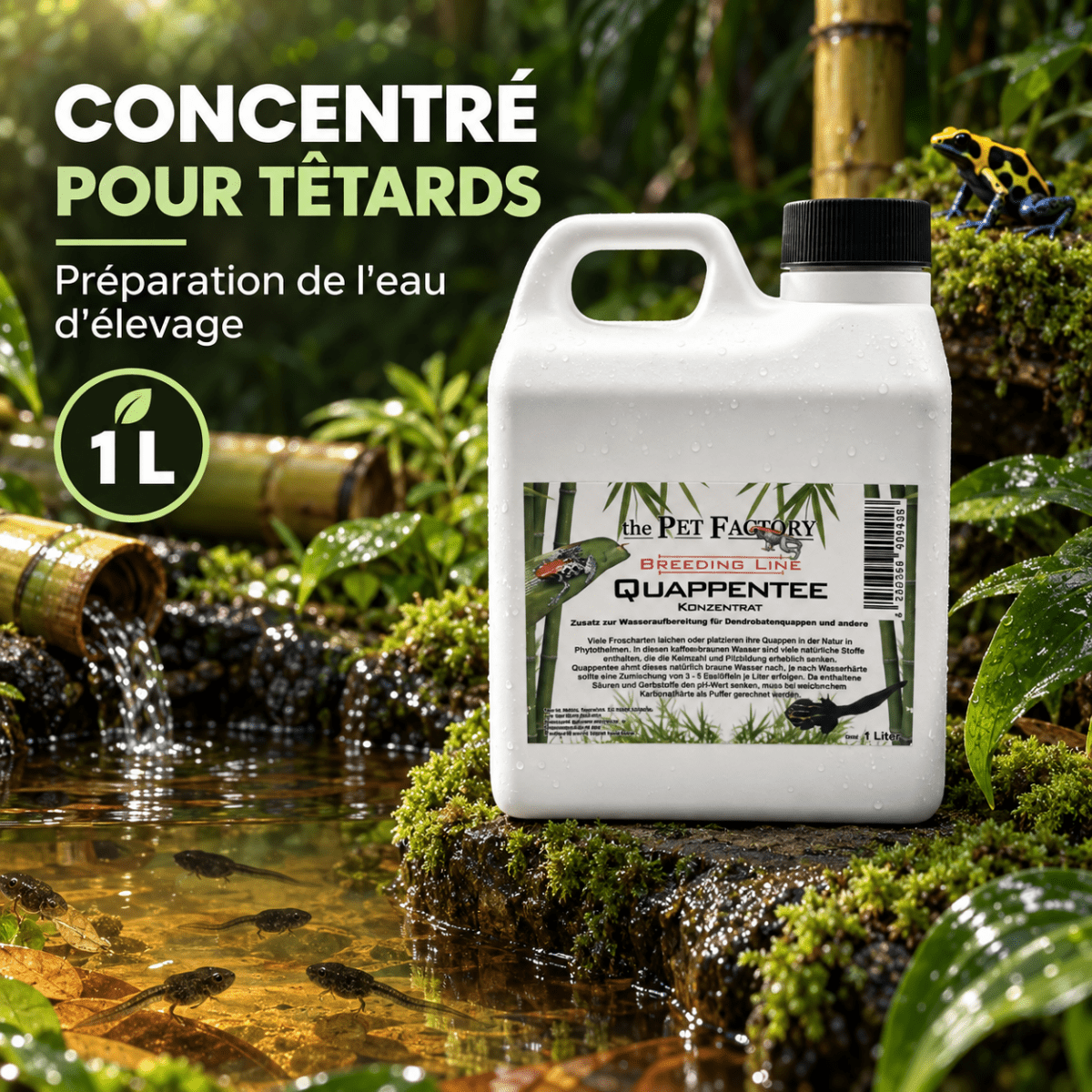 Quappentee – Concentré Eau de Têtards Dendrobates | The Pet Factory - TerraLife