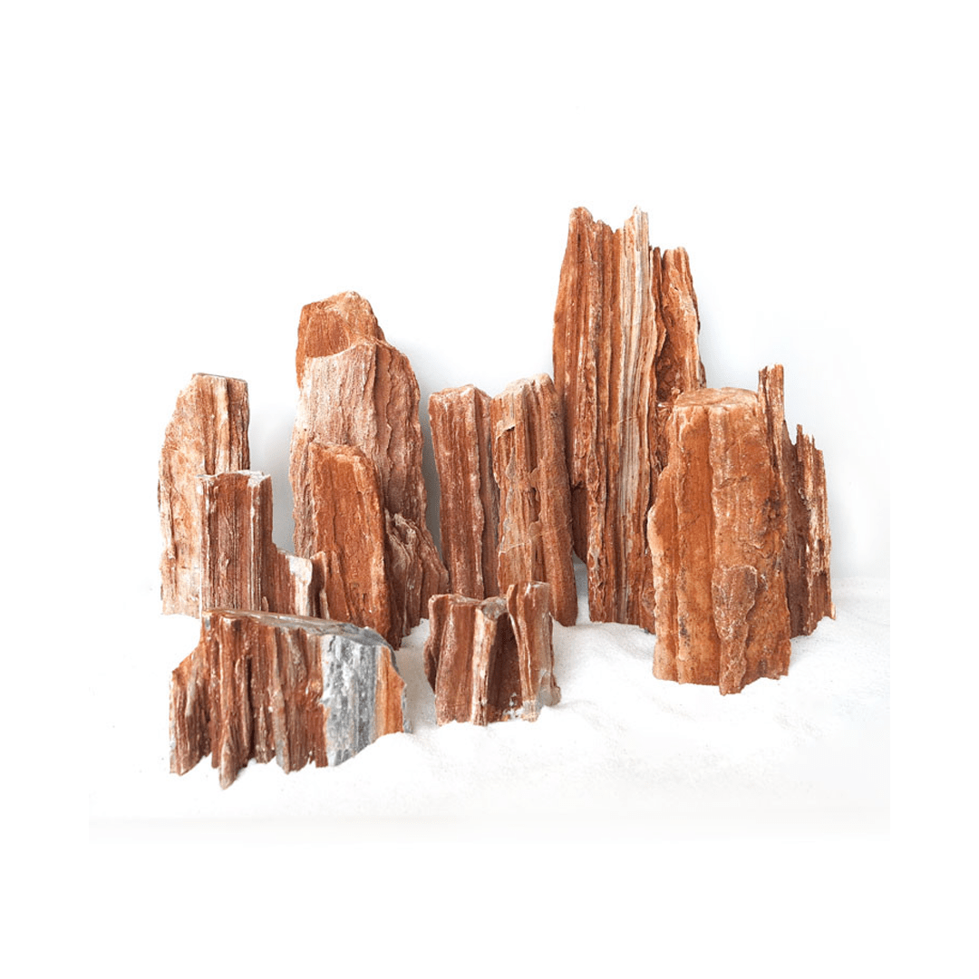 Red Wood Rock - TerraLife