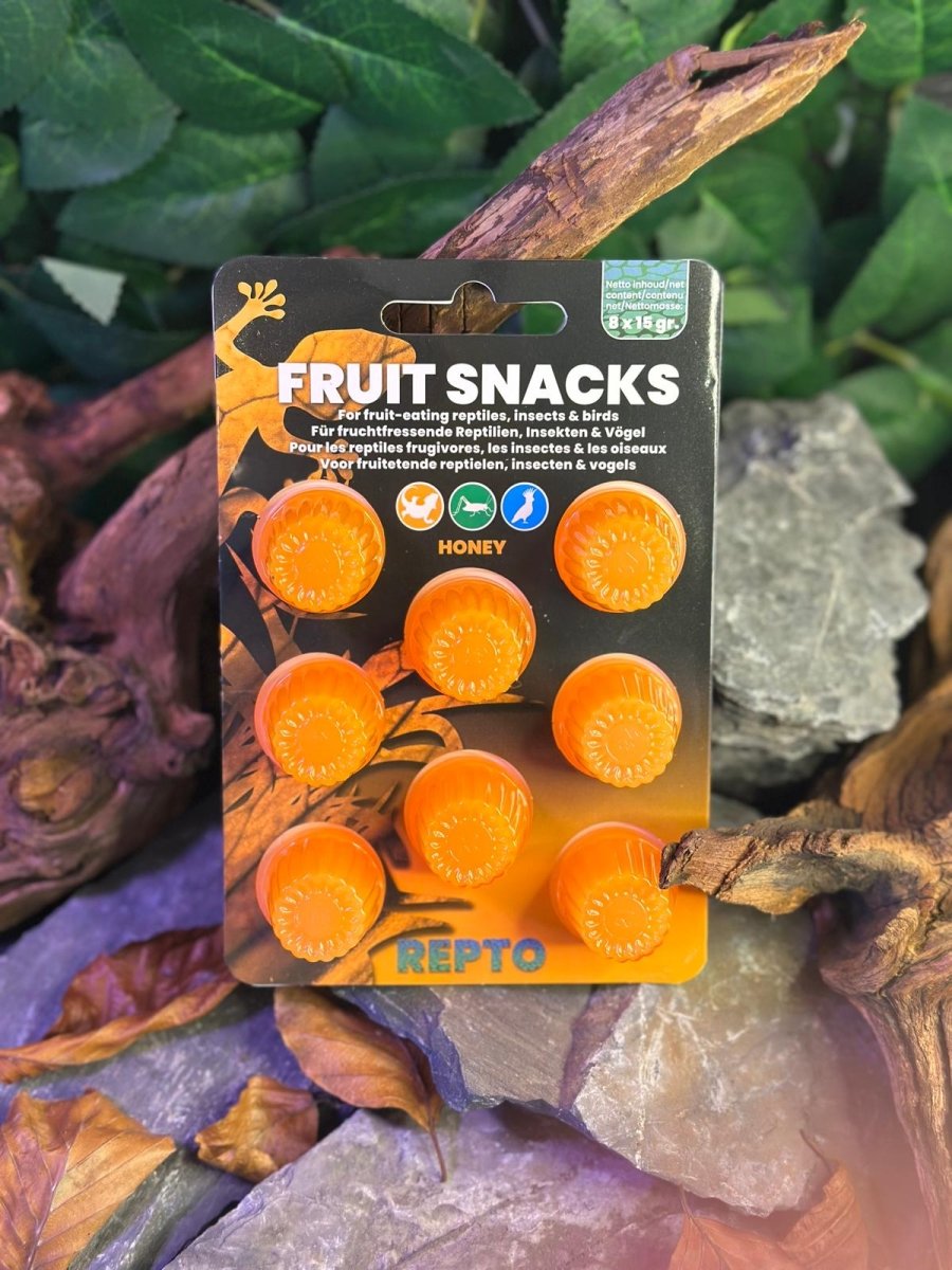 Repto Fruit Snacks - TerraLife