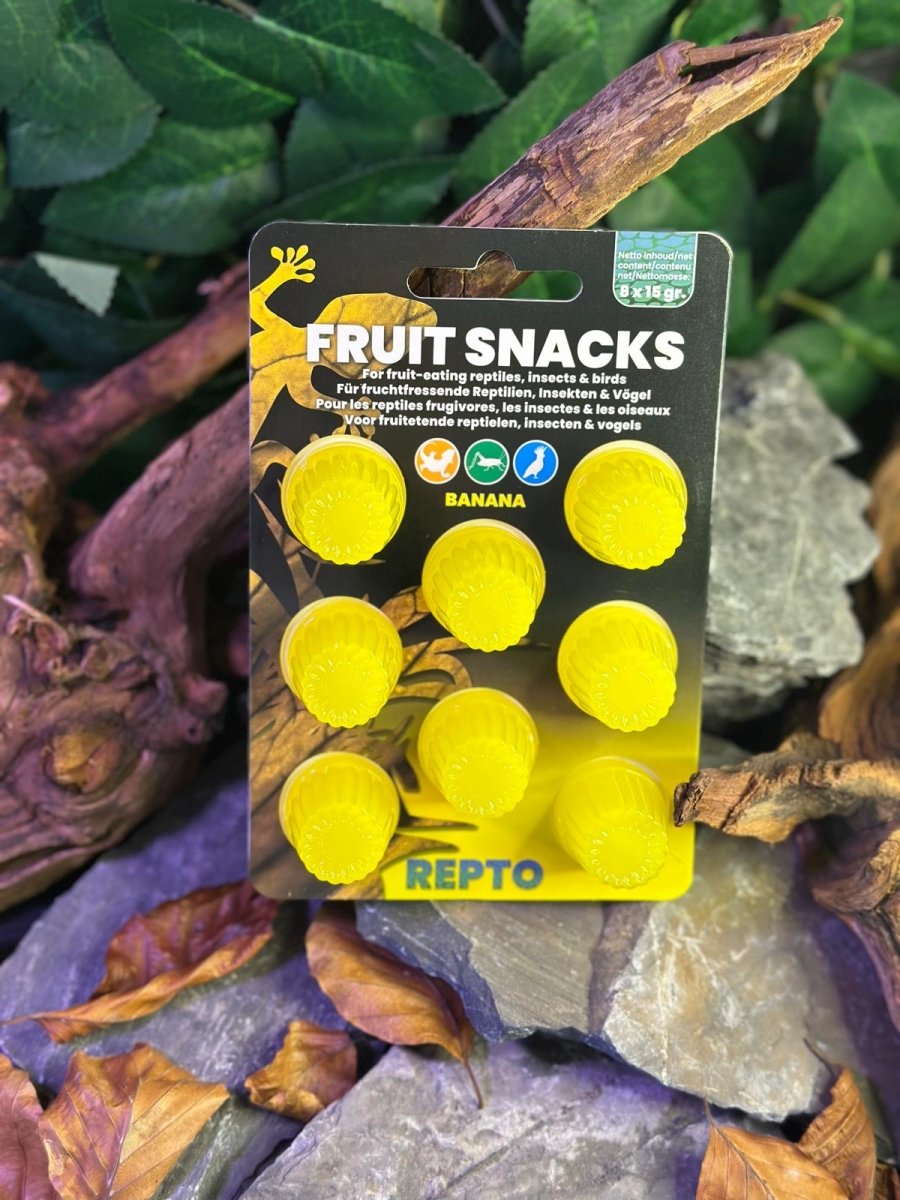 Repto Fruit Snacks - TerraLife